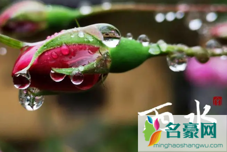 2023年2月19日雨水是几九 3