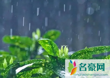 2023年2月19日雨水是几九 2
