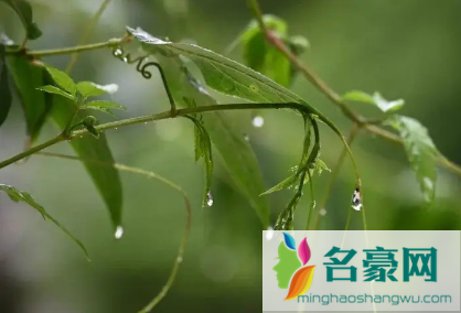 2023年南京有梅雨季节吗1