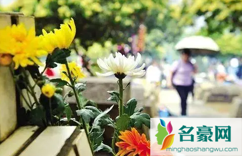 2023南京清明节扫墓需要预约吗2