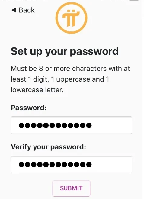 Pi币注册信息填写