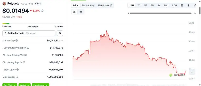Polymarket生态项目