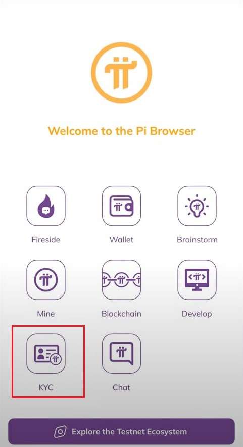 Pi浏览器下载界面