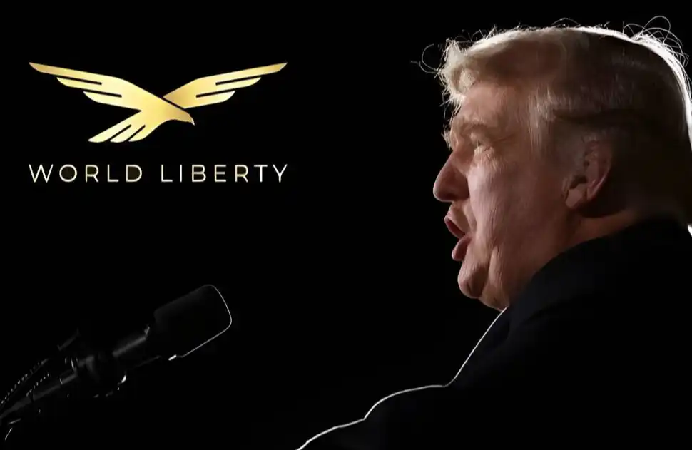 WLFI治理模式详解