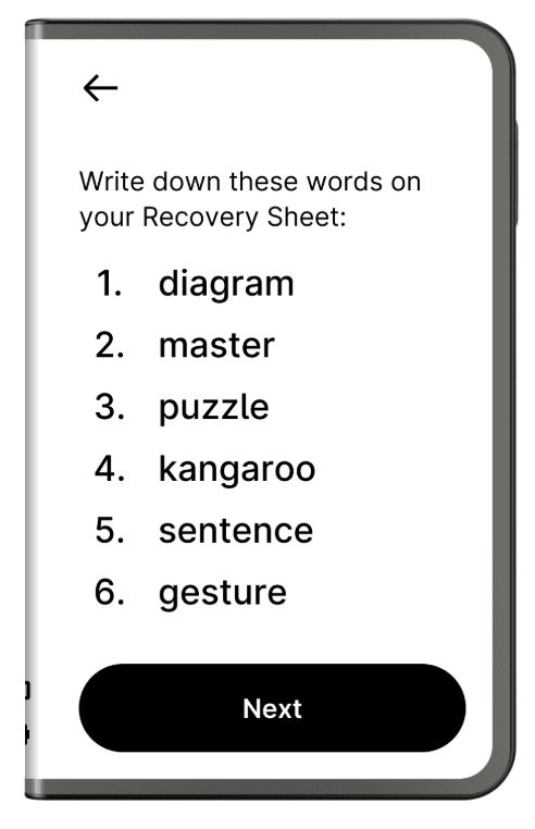 Ledger Stax 硬件钱包