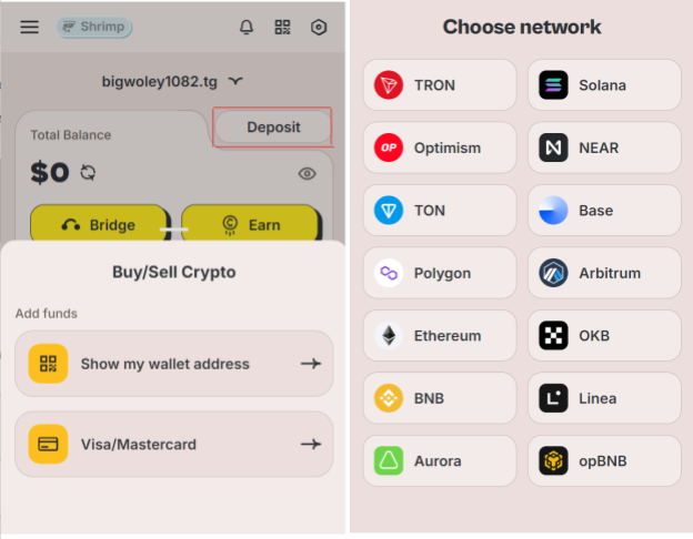 HOT Wallet存款界面
