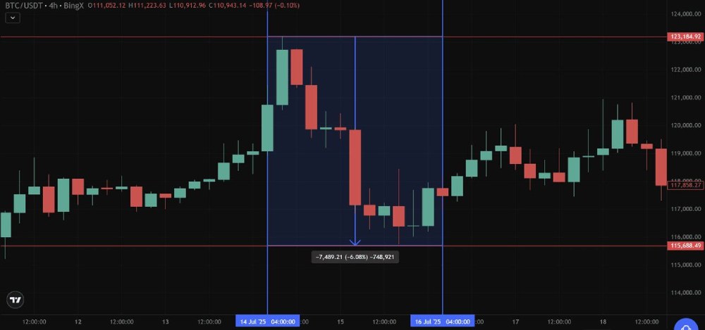 加密货币巨鲸追踪