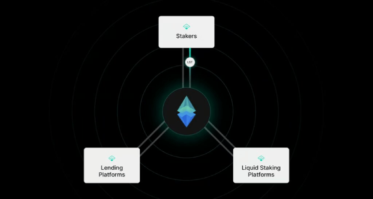 Treehouse 代币结构