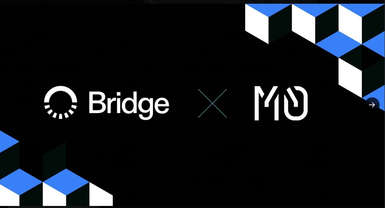 MetaMask mUSD 特性展示