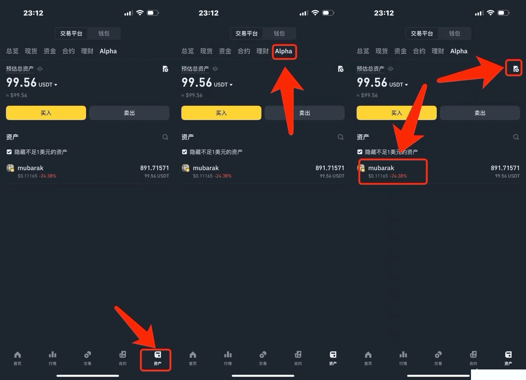 币安Alpha持有币种界面