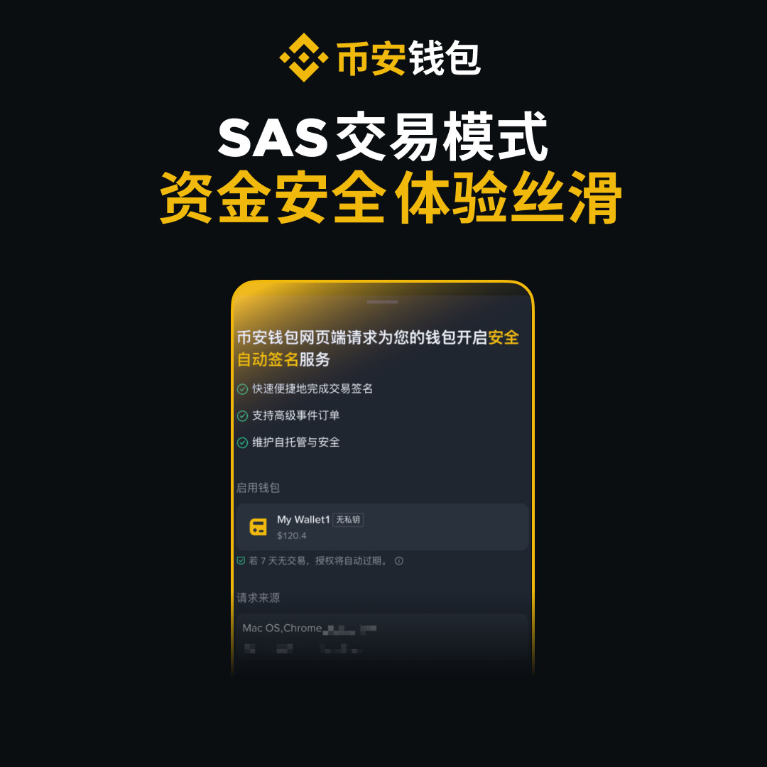 SAS安全机制示意图