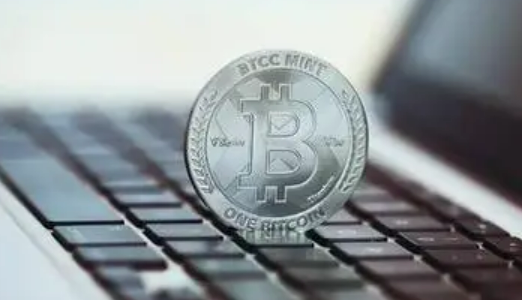 中本聪相关信息图